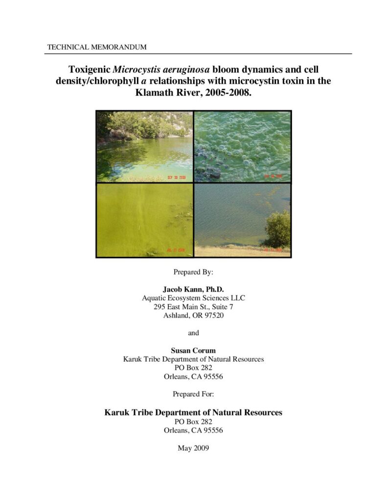Cover of Toxigenic Microcystis aeruginosa bloom dynamics and cell density/chlorophyll a relationships with microcystin toxin in the Klamath River, 2005-2008. Aquatic Ecosystem Sciences LLC. and Karuk Tribe Department of Natural Resources, Orleans, CA. 46 pp.