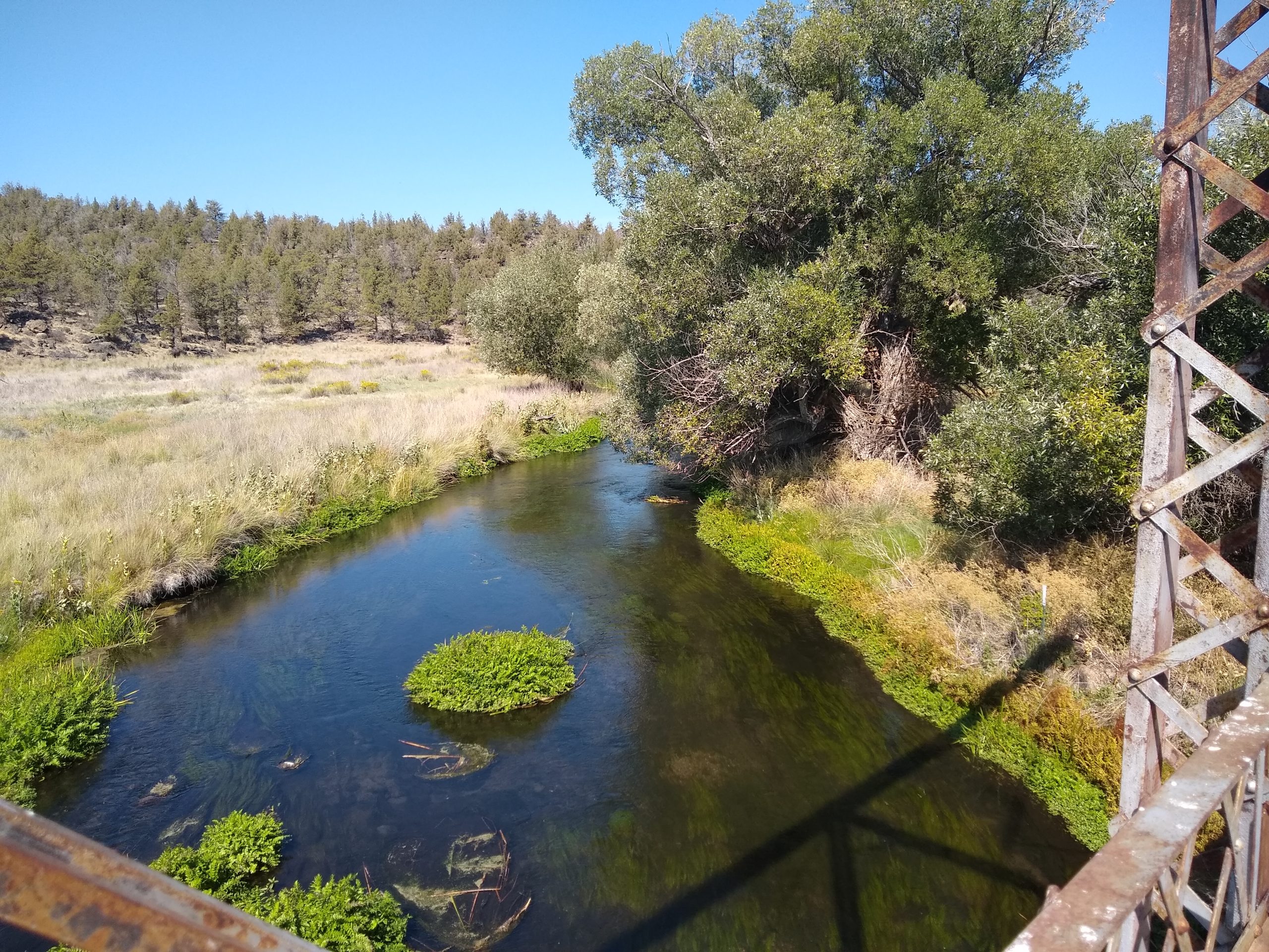 Shasta River