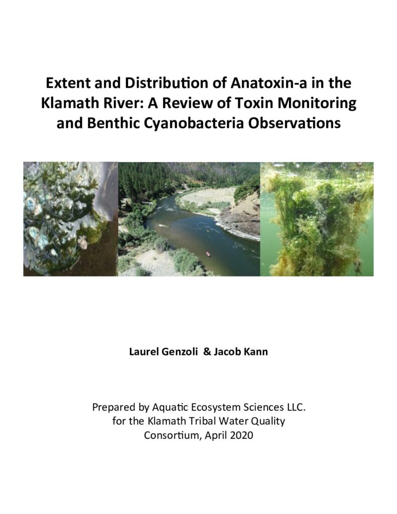 Cover of Extent and Distribution of Anatoxin-a in the Klamath River: A Review of Toxin Monitoring and Benthic Cyanobacteria Observations. Prepared by Aquatic Ecosystem Sciences LLC for the Klamath Tribal Water Quality Consortium. 24 p. + Appendices.