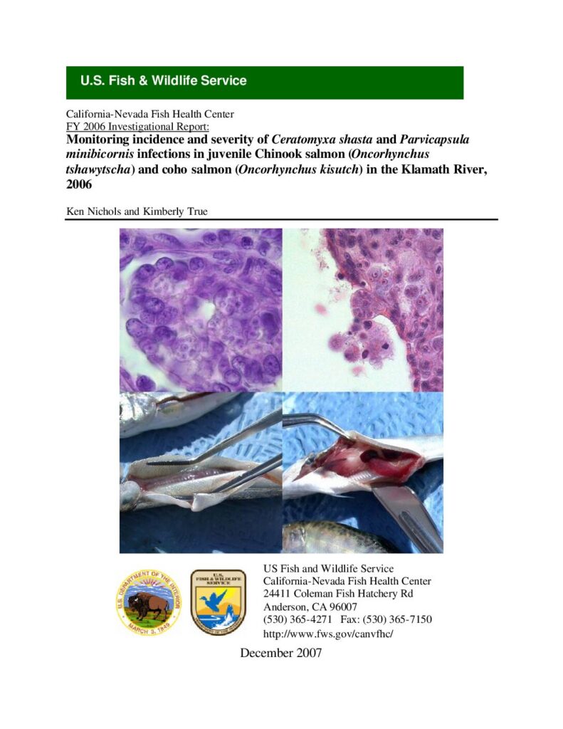 Cover of Monitoring incidence and severity of Ceratomyxa shasta and Parvicapsula minibicornis infections in juvenile Chinook salmon (Oncorhynchus tshawytscha) and coho salmon (Oncorhynchus kisutch) in the Klamath River, 2006. USFWS California-Nevada Fish Health Center, Anderson, CA 23 p.