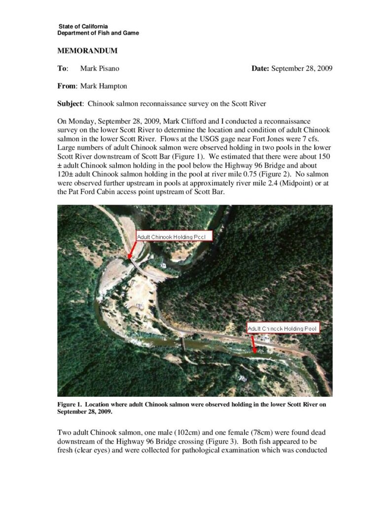 Cover of Chinook salmon reconnaissance survey on the Scott River, Memo of September 28, 2009 from Mark Hampton to Mark Pisano, CDFG, Yreka, CA. 4 p.