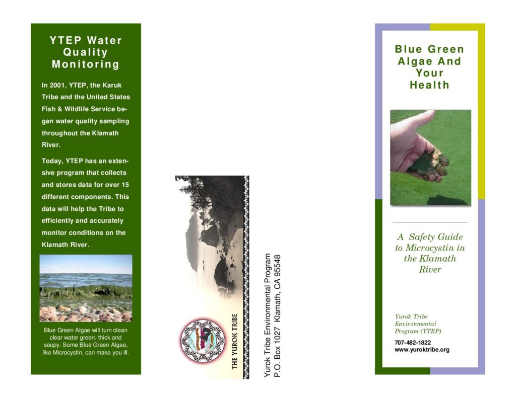 Cover of Blue Green Algae and Your Health. YTEP, Klamath, CA. 2 p